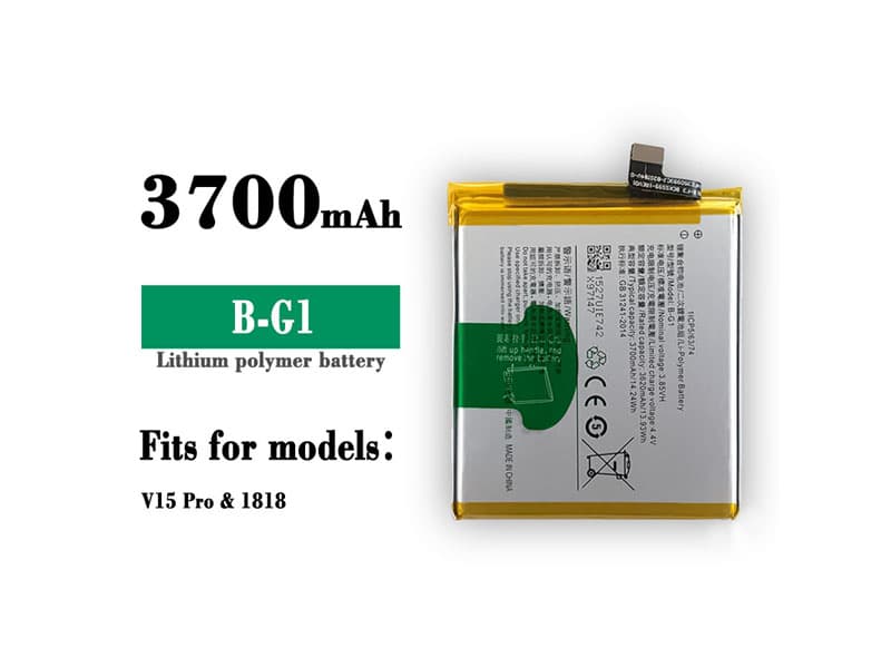 VIVO B-G1