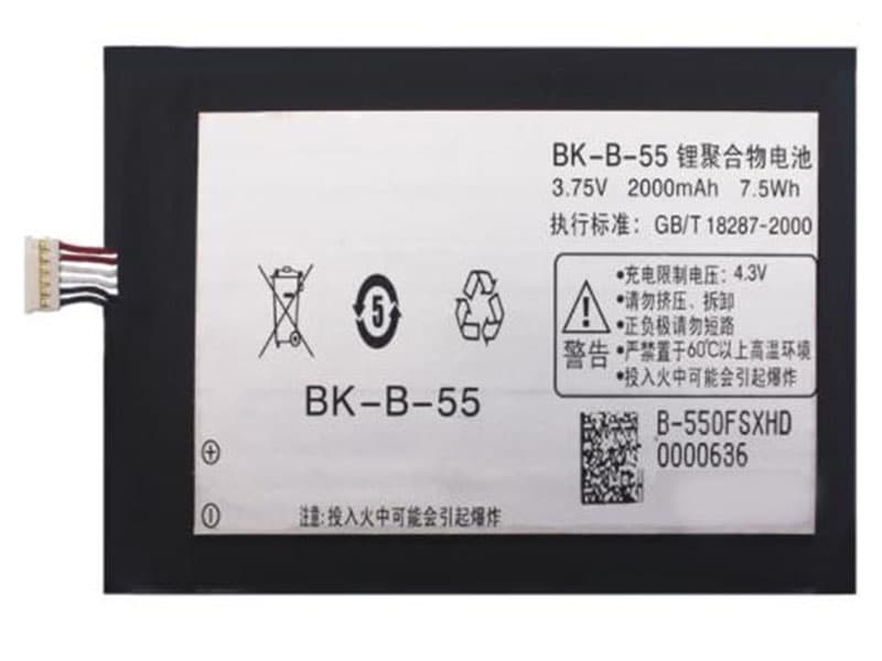 Vivo BK-B-55