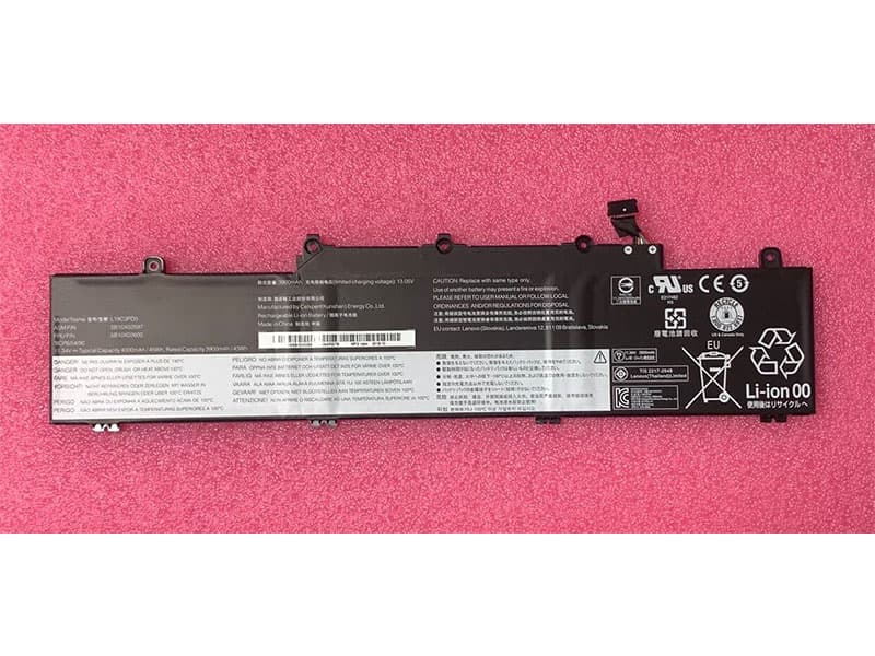 LENOVO L19C3PD5