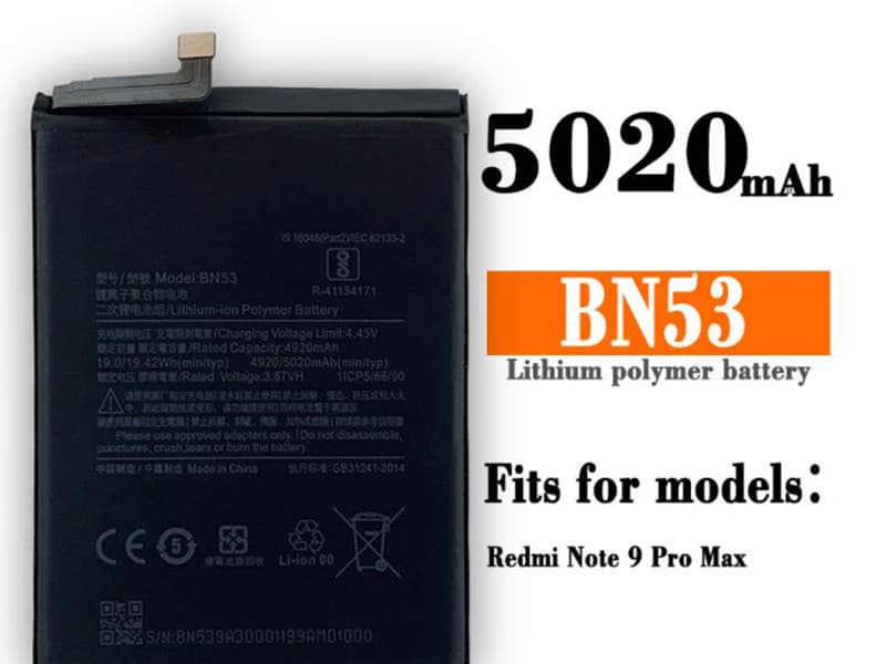 BN53